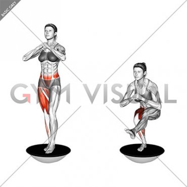 Bosu Ball Single Leg Squat (female)