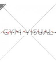 Resistance Band Glute Bridge Walk (female)