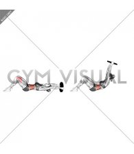 Weighted Plate Crunch (hands overhead) (female)