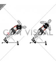 Weighted Plate 45 degrees Side Bend