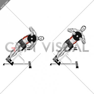 Weighted Plate 45 degrees Side Bend