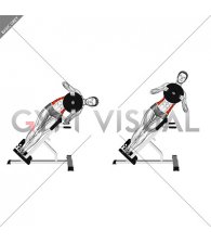 Weighted Plate 45 degrees Side Bend (female)