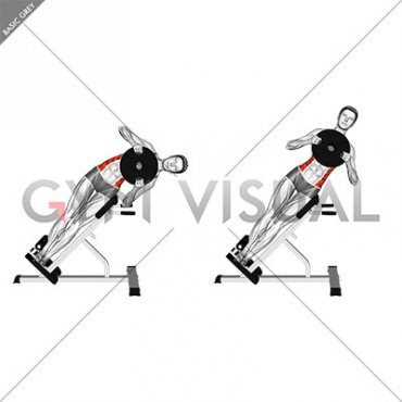 Weighted Plate 45 degrees Side Bend (female)