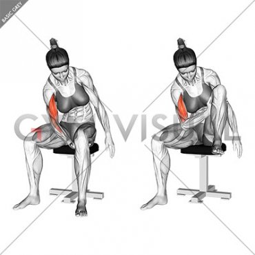 Negative Biceps Leg Concentration Curl (female)
