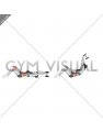 Weighted Dumbbell Crunch (hands overhead) (VERSION 2) (female)