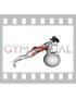 Stability Ball Front Plank (female)