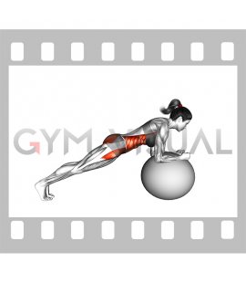 Stability Ball Front Plank (female)