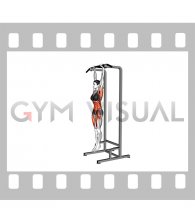 Hanging Tucked Front Lever Hold (female)