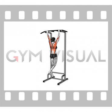 Explosive Pull-up (female)