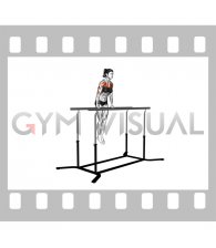 Chest Dip on Straight Bar (female)