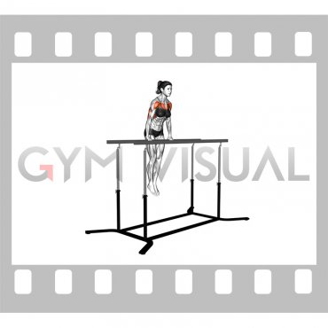 Chest Dip on Straight Bar (female)