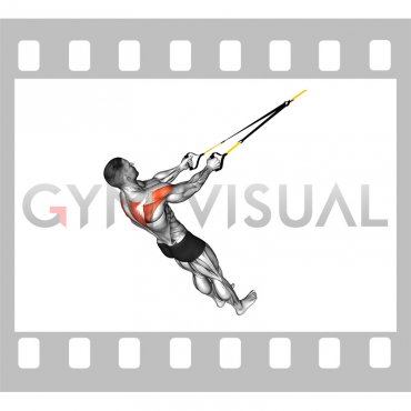 Suspender Reverse Fly (male)