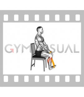 Resistance Band Calf Press Sitting on Chair (male)