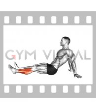 Seated Single Leg Foot Circle (male)