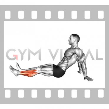 Seated Single Leg Foot Circle (male)