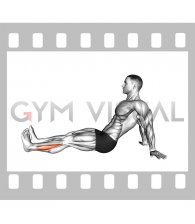 Seated Single Leg Foot Side to Side (male)