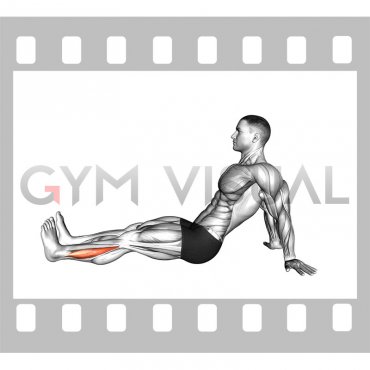 Seated Single Leg Foot Side to Side (male)