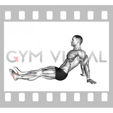 Seated Squeezing Toes (male)