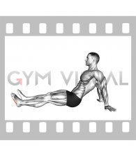 Seated Single Leg Squeezing Toes (male)