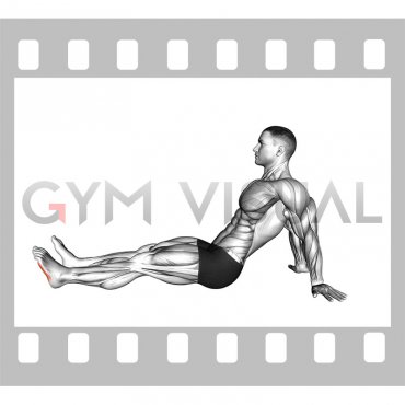 Seated Single Leg Squeezing Toes (male)