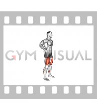 Bodyweight Quarter Squat