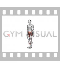 Bodyweight Single Leg Deadlift Hold