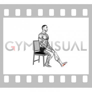 Seated Single Leg Squeezing Toes (male)