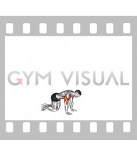 Handstand Push-up from Kneeling Position