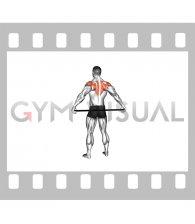 Stick Shoulder Mobilization in Abduction Behind Back (male)