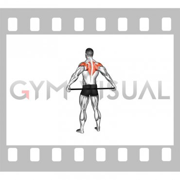 Stick Shoulder Mobilization in Abduction Behind Back (male)