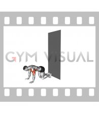 Wall Walks to Handstand Push Up