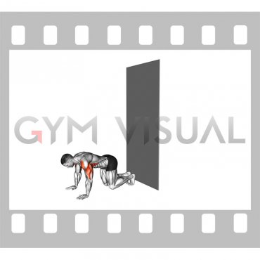 Wall Walks to Handstand Push Up