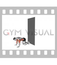 Wall Walks to Handstand Shoulder Tap