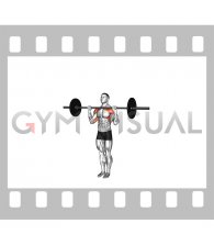 Barbell Standing Military Press (close stance)