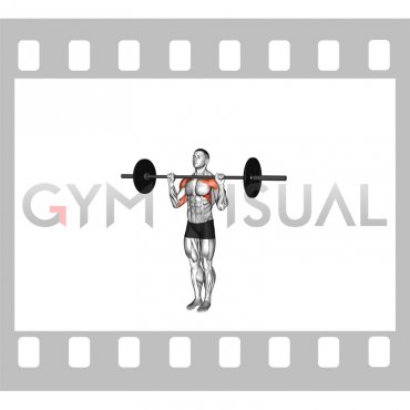 Barbell Standing Military Press (close stance)
