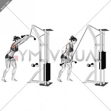 Cable straight arm pulldown (version 2)