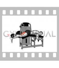 Lever Lying Leg Curl