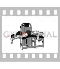 Lever Lying Single Leg Curl