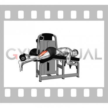 Lever Lying Single Leg Curl