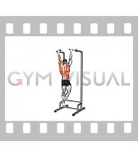 Eccentric Single Arm Pull-up (male)