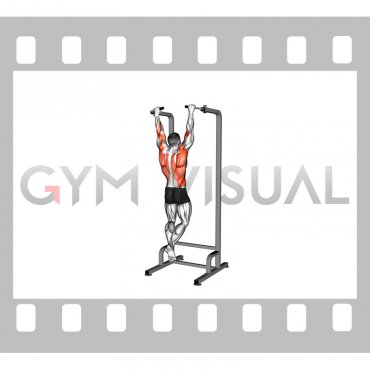 Eccentric Single Arm Pull-up (male)