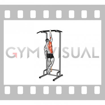Resistance Band Assisted Single Arm Pull-up (VERSION 2) (male)