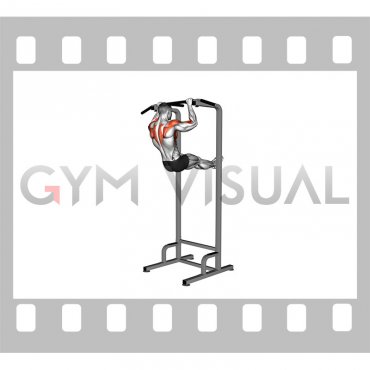 Scapular Pull-up Swing (male)