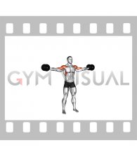 Dumbbell Straight Arm Bicep Swing (male)