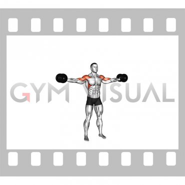 Dumbbell Straight Arm Bicep Swing (male)