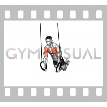 Ring Long Arms Push-up Hold (male)