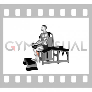 Lever Lying Leg Curl Calf Raise