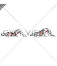 Hamstring Bridge (male)