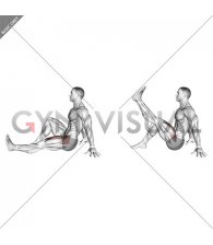 Seated Single Leg Raise (male)