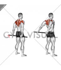 Stick Standing Shoulder Mobilization in Extension (male)